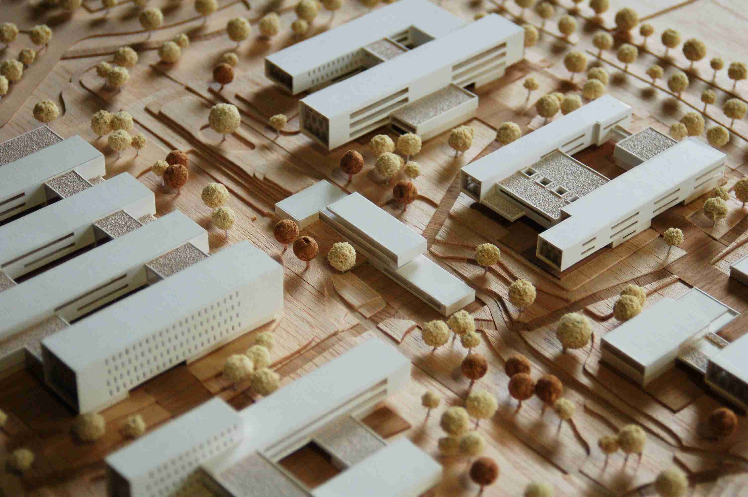 UNIVERSITÉ DE MISRATAH, Collaboration IDOM